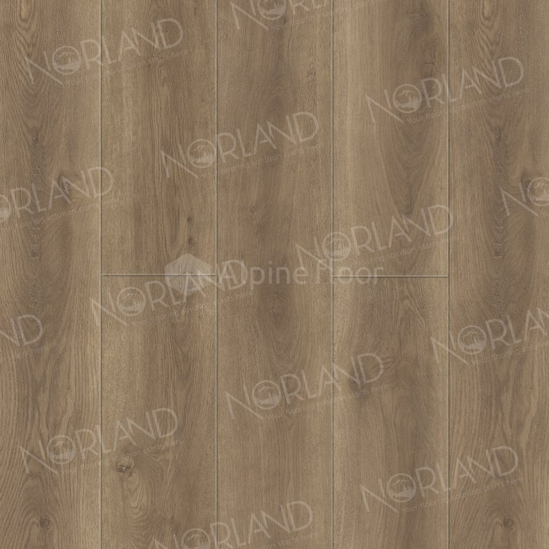 SPC Ламинат "Norland" Tista (1220*196*8 мм) — купить в Благовещенске