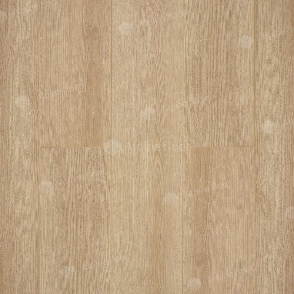 Ламинат "Camsan" Дуб Натур (1380*190*10 мм) — купить в Благовещенске