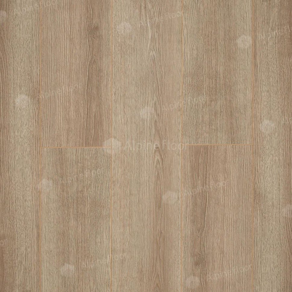 Ламинат "Camsan" Дуб Кашемир (1380*190*10 мм) — купить в Благовещенске
