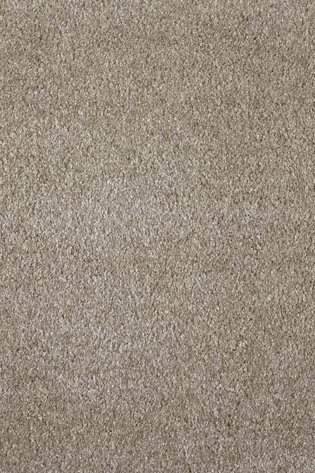 Ковровое покрытие "Bonkeel" Parana 34 (ширина 4м/5м) — купить в Благовещенске